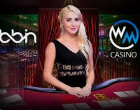 星空全站桌面版客户端